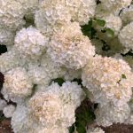 博猫游戏官方注册指南:轻松开启游戏之旅 1ee5c054