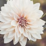 博猫娱乐:探索线上娱乐平台的无限乐趣与精彩活动 flbw2i