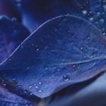 吉祥体育坊:打造全民健身的新平台与活动中心 rkfo8k